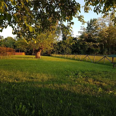 Locanda Veneta Vicenza Exteriér fotografie