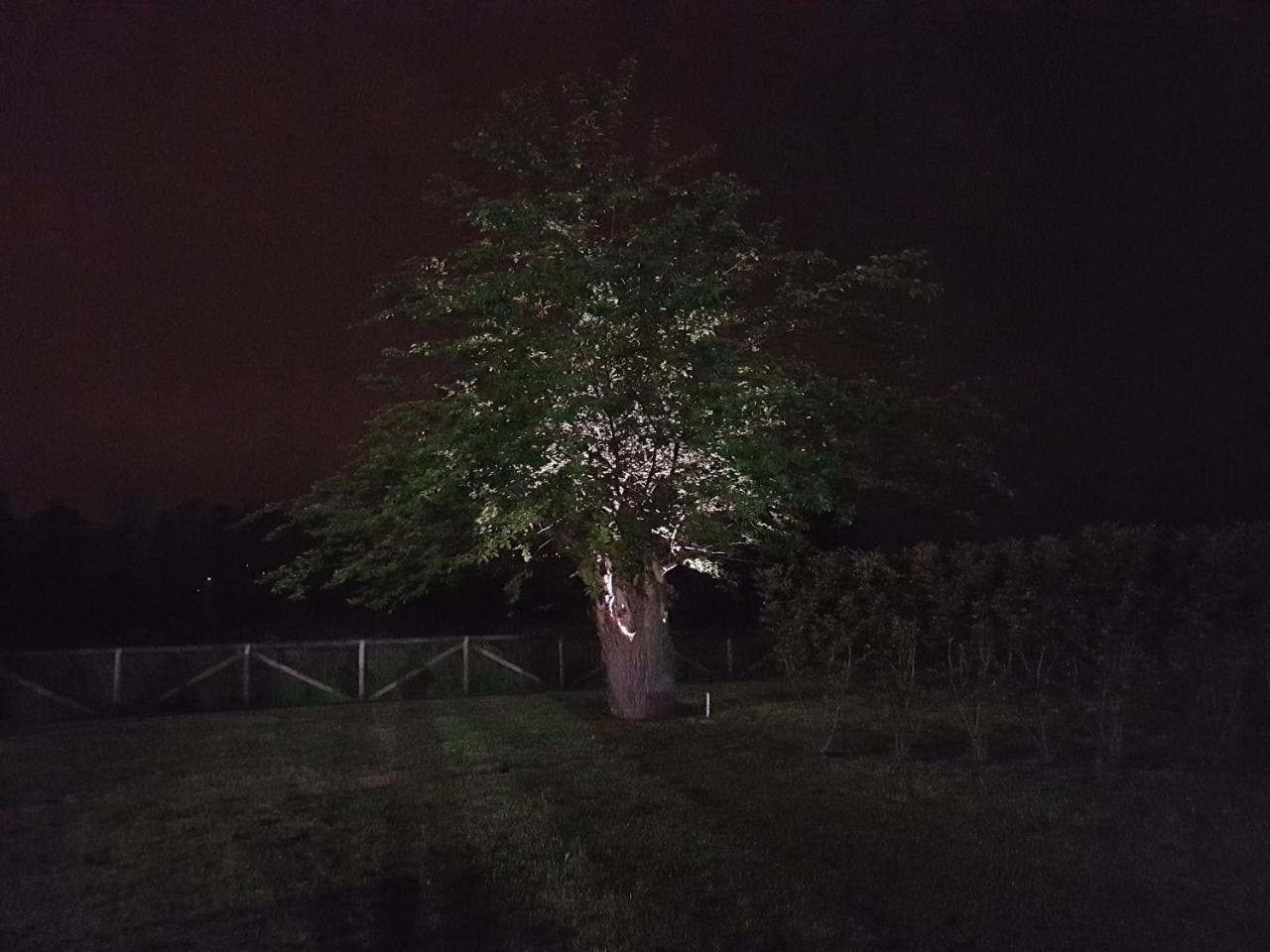 Locanda Veneta Vicenza Exteriér fotografie